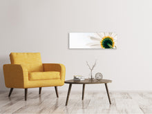 Laden Sie das Bild in den Galerie-Viewer, Leinwandbild Panorama Ein Gänseblümchen