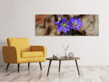 Laden Sie das Bild in den Galerie-Viewer, Leinwandbild Panorama Wildblumen