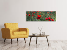 Laden Sie das Bild in den Galerie-Viewer, Leinwandbild Panorama Wilder Mohn