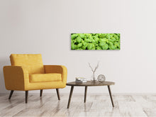 Laden Sie das Bild in den Galerie-Viewer, Leinwandbild Panorama Alles Basilikum