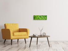 Laden Sie das Bild in den Galerie-Viewer, Leinwandbild Panorama Frischer Schnittlauch XL