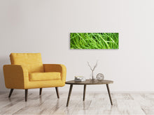 Laden Sie das Bild in den Galerie-Viewer, Leinwandbild Panorama Frischer Schnittlauch XL