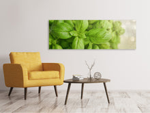 Laden Sie das Bild in den Galerie-Viewer, Leinwandbild Panorama Ein Strauss Basilikum