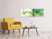 Laden Sie das Bild in den Galerie-Viewer, Leinwandbild Panorama XXL Pastinak
