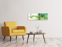 Laden Sie das Bild in den Galerie-Viewer, Leinwandbild Panorama XXL Pastinak