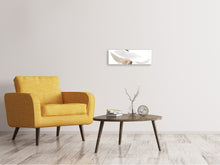 Laden Sie das Bild in den Galerie-Viewer, Leinwandbild Panorama XXL Orchideenblüte