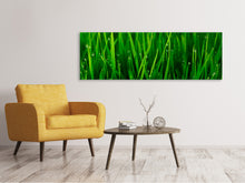 Laden Sie das Bild in den Galerie-Viewer, Leinwandbild Panorama Gras mit Morgentau