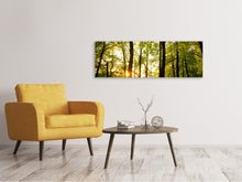 Laden Sie das Bild in den Galerie-Viewer, Leinwandbild Panorama Sonnenuntergang zwischen den Bäumen