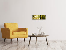 Laden Sie das Bild in den Galerie-Viewer, Leinwandbild Panorama Sonnenuntergang zwischen den Bäumen