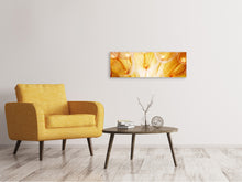 Laden Sie das Bild in den Galerie-Viewer, Leinwandbild Panorama Close Up Pusteblume im Licht
