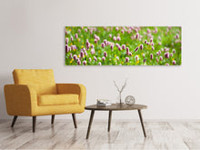 Laden Sie das Bild in den Galerie-Viewer, Leinwandbild Panorama Der Wiesenklee