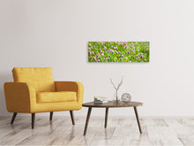 Laden Sie das Bild in den Galerie-Viewer, Leinwandbild Panorama Der Wiesenklee