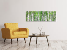 Laden Sie das Bild in den Galerie-Viewer, Leinwandbild Panorama Der Birkenwald