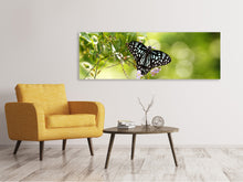 Laden Sie das Bild in den Galerie-Viewer, Leinwandbild Panorama Papilio Schmetterling XXL