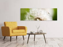 Laden Sie das Bild in den Galerie-Viewer, Leinwandbild Panorama Pusteblume Löwenzahn
