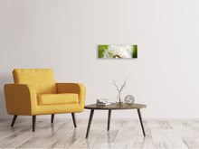 Laden Sie das Bild in den Galerie-Viewer, Leinwandbild Panorama Pusteblume Löwenzahn