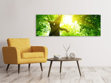 Laden Sie das Bild in den Galerie-Viewer, Leinwandbild Panorama Baum