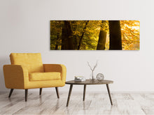 Laden Sie das Bild in den Galerie-Viewer, Leinwandbild Panorama Herbstlaub
