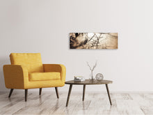Laden Sie das Bild in den Galerie-Viewer, Leinwandbild Panorama Äste im Schleierlicht