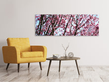 Laden Sie das Bild in den Galerie-Viewer, Leinwandbild Panorama Japanische Blütenkirsche