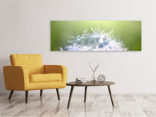 Laden Sie das Bild in den Galerie-Viewer, Leinwandbild Panorama Pusteblume XL im Morgentau
