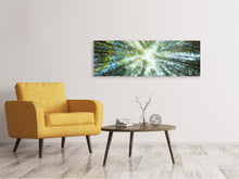 Laden Sie das Bild in den Galerie-Viewer, Leinwandbild Panorama Kiefernwald