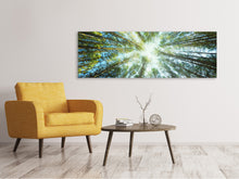 Laden Sie das Bild in den Galerie-Viewer, Leinwandbild Panorama Kiefernwald