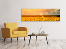 Laden Sie das Bild in den Galerie-Viewer, Leinwandbild Panorama Goldenes Licht für Sonnenblumen