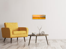 Laden Sie das Bild in den Galerie-Viewer, Leinwandbild Panorama Goldenes Licht für Sonnenblumen