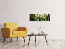 Laden Sie das Bild in den Galerie-Viewer, Leinwandbild Panorama Verträumter Wald