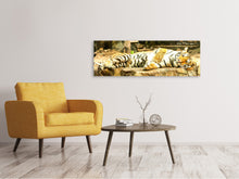 Laden Sie das Bild in den Galerie-Viewer, Leinwandbild Panorama Der Sibirische Tiger