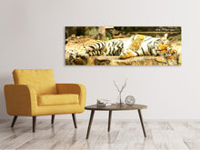 Laden Sie das Bild in den Galerie-Viewer, Leinwandbild Panorama Der Sibirische Tiger