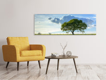 Laden Sie das Bild in den Galerie-Viewer, Leinwandbild Panorama Frühlingsbaum
