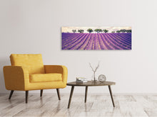Laden Sie das Bild in den Galerie-Viewer, Leinwandbild Panorama Das Lavendelfeld