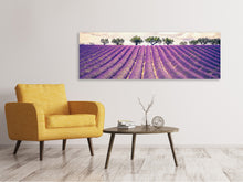 Laden Sie das Bild in den Galerie-Viewer, Leinwandbild Panorama Das Lavendelfeld