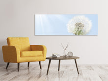 Laden Sie das Bild in den Galerie-Viewer, Leinwandbild Panorama Der Löwenzahn im Sonnenstrahl