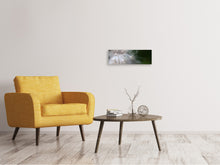 Laden Sie das Bild in den Galerie-Viewer, Leinwandbild Panorama Close up Blütenfasern