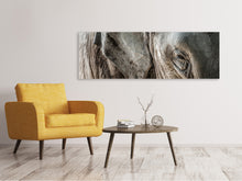 Laden Sie das Bild in den Galerie-Viewer, Leinwandbild Panorama Close Up Elefant