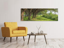 Laden Sie das Bild in den Galerie-Viewer, Leinwandbild Panorama Alter Baumbestand
