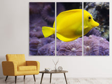 Laden Sie das Bild in den Galerie-Viewer, Leinwandbild 3-teilig Der Zitronen-Doktorfisch