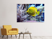 Laden Sie das Bild in den Galerie-Viewer, Leinwandbild 3-teilig Gelber Doktorfisch XL