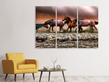 Laden Sie das Bild in den Galerie-Viewer, Leinwandbild 3-teilig Freiheit für Pferde