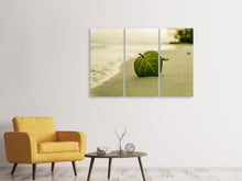 Laden Sie das Bild in den Galerie-Viewer, Leinwandbild 3-teilig Strand-Blatt
