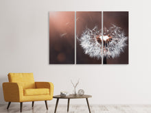 Laden Sie das Bild in den Galerie-Viewer, Leinwandbild 3-teilig Pusteblume im Abendlicht