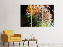 Laden Sie das Bild in den Galerie-Viewer, Leinwandbild 3-teilig Pusteblume im Morgentau