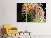 Laden Sie das Bild in den Galerie-Viewer, Leinwandbild 3-teilig Pusteblume im Morgentau