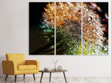 Laden Sie das Bild in den Galerie-Viewer, Leinwandbild 3-teilig Pusteblume im Morgentau