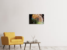 Laden Sie das Bild in den Galerie-Viewer, Leinwandbild 3-teilig Pusteblume im Morgentau