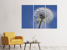 Laden Sie das Bild in den Galerie-Viewer, Leinwandbild 3-teilig Die Pusteblume in XXL