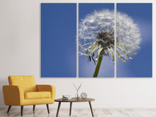 Laden Sie das Bild in den Galerie-Viewer, Leinwandbild 3-teilig Die Pusteblume in XXL